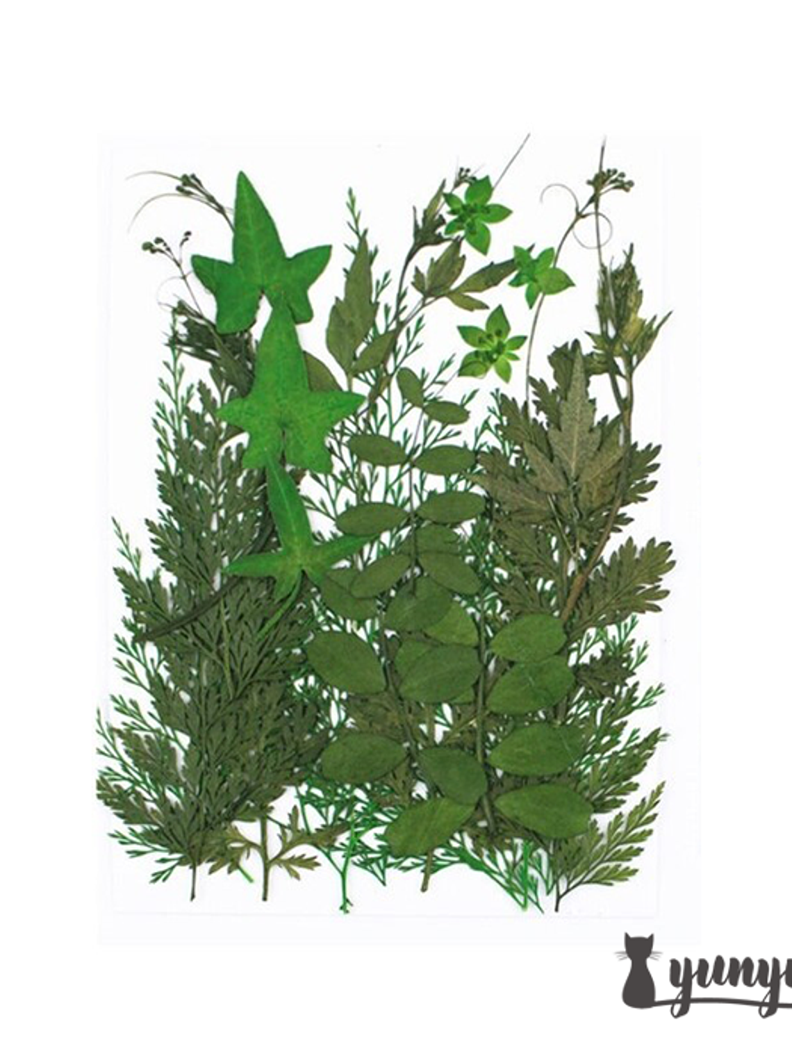 Set Hojas Secas II - 21 pzas 1