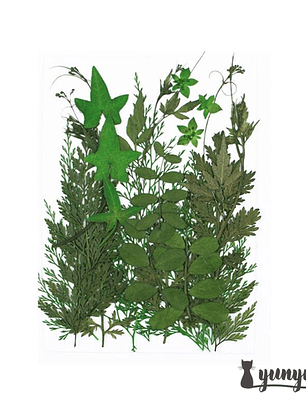 Set Hojas Secas II - 21 pzas