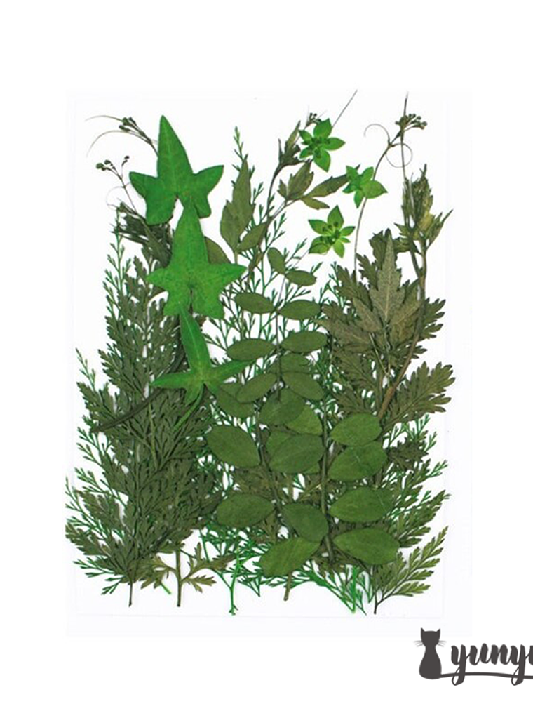 Set Hojas Secas II - 21 pzas 1