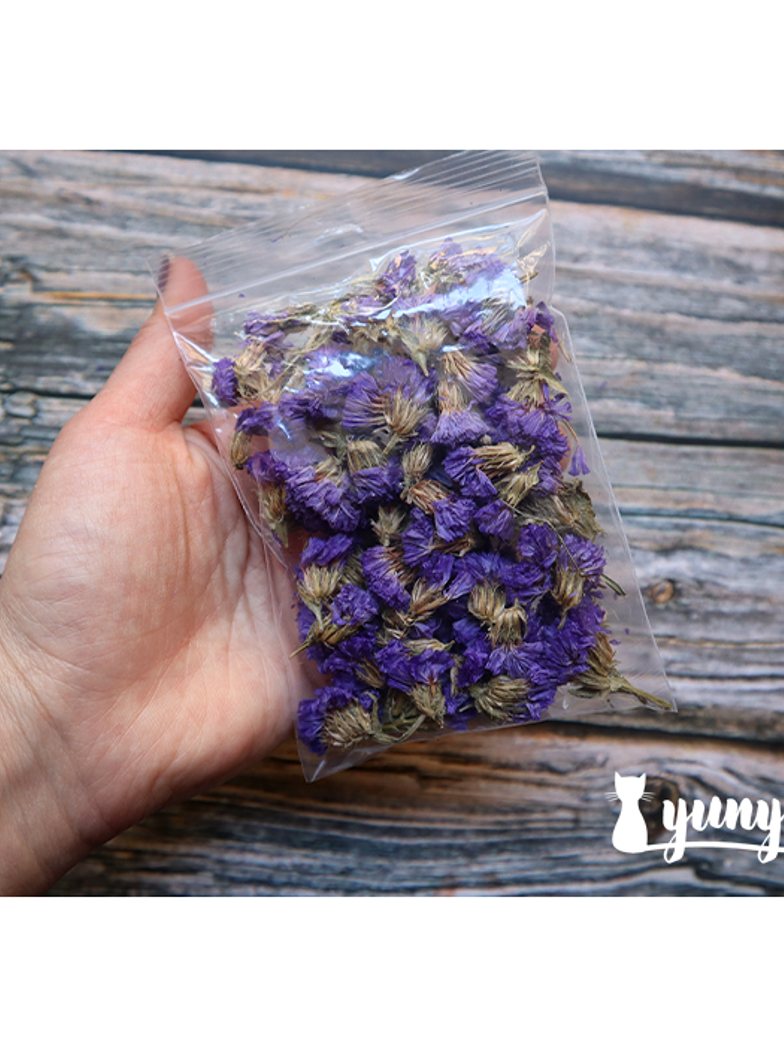 Flores Secas Nomeolvides - 7 grs 3