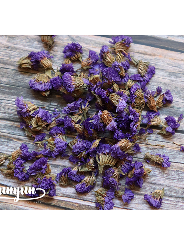 Flores Secas Nomeolvides - 7 grs 2