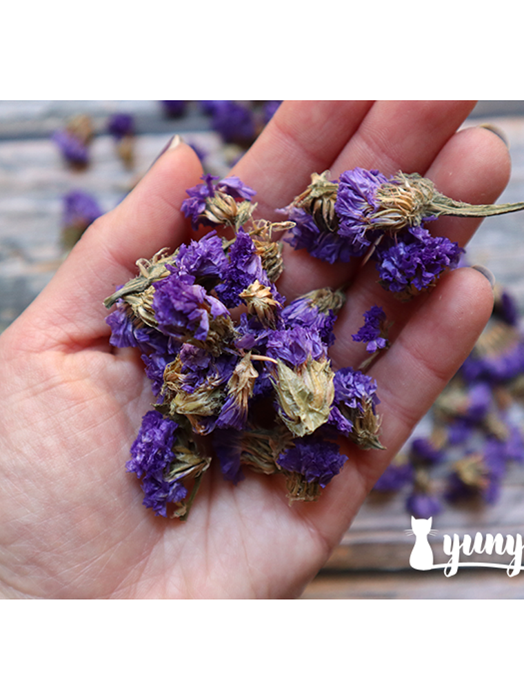 Flores Secas Nomeolvides - 7 grs 1