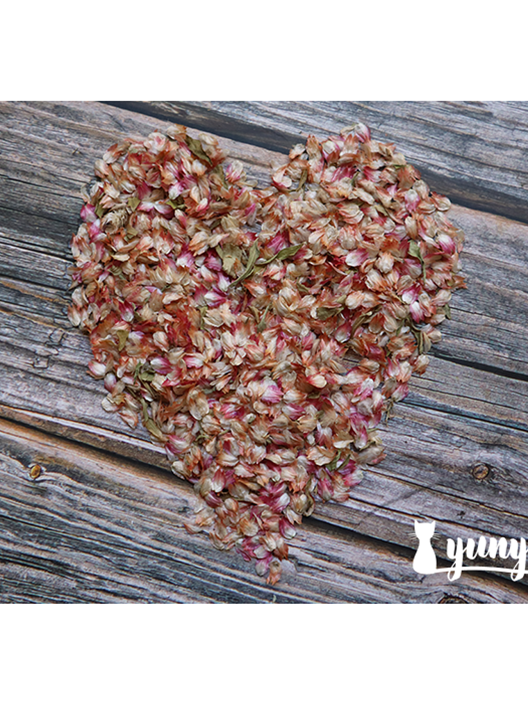 Flores Secas Pétalos - 7 grs 6