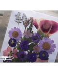 Set Flores Secas Purple Love  - 28 pzas