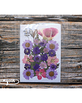 Set Flores Secas Purple Love  - 28 pzas
