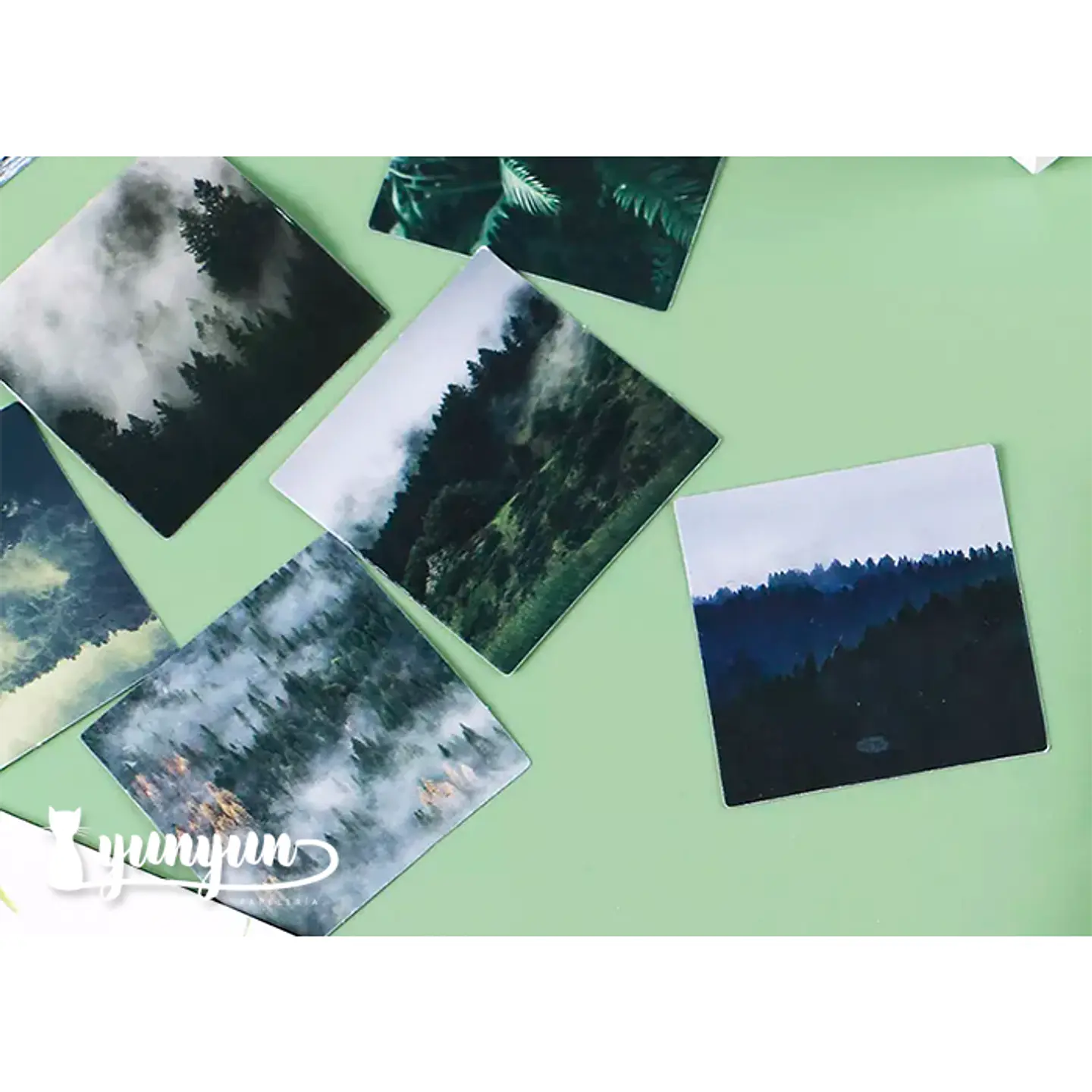 Caja Stickers Green Fields - 45 pzas 3