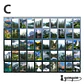 Mini Sticker Paisajes II - 50 pzas - Miniatura 7