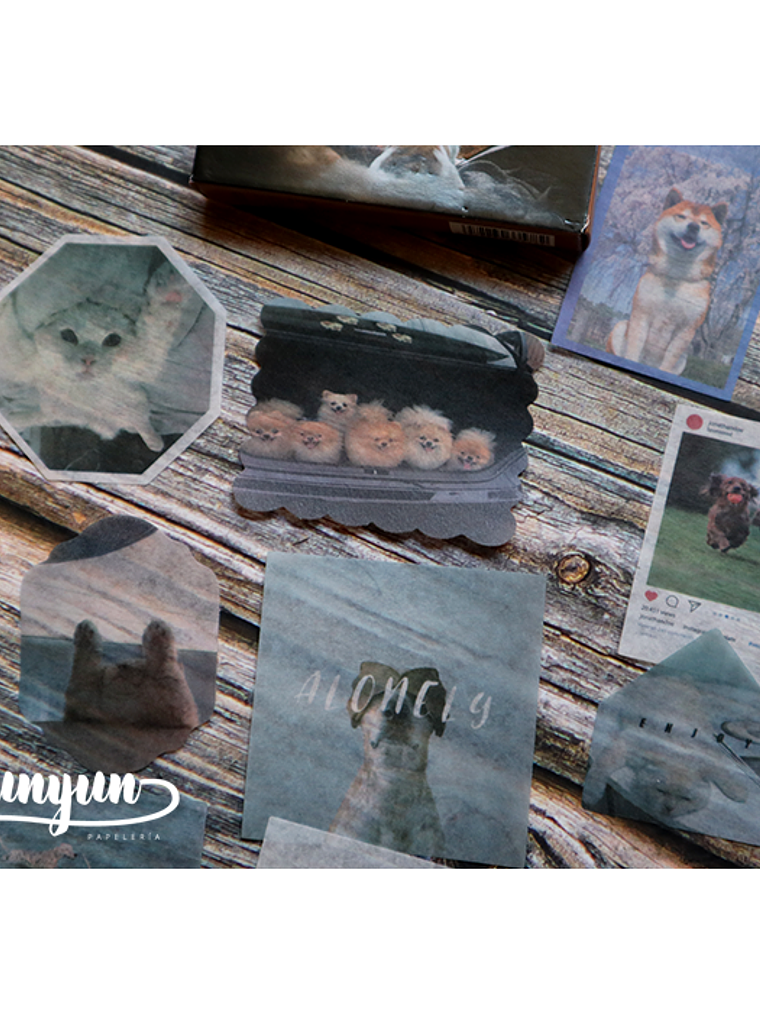 Caja XL Cat & Dog World - 80 pzas 2