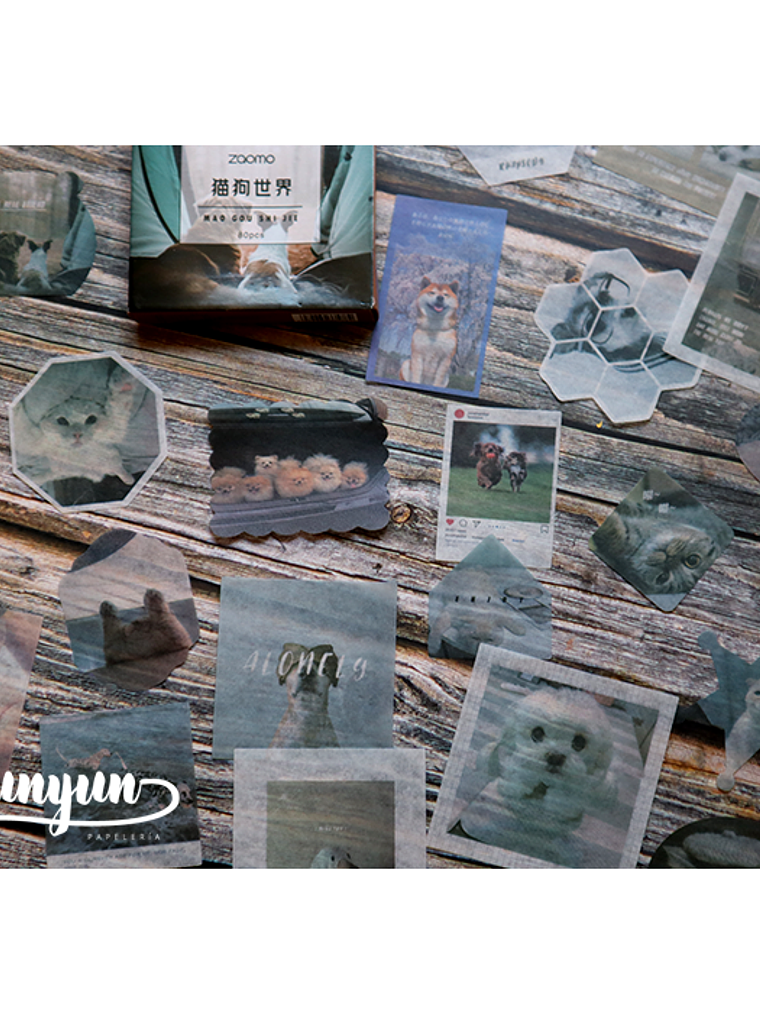 Caja XL Cat & Dog World - 80 pzas 4