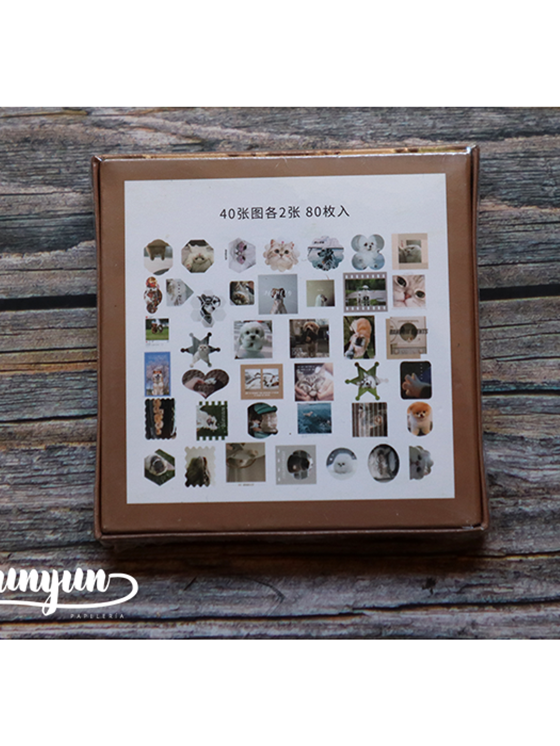 Caja XL Cat & Dog World - 80 pzas 10