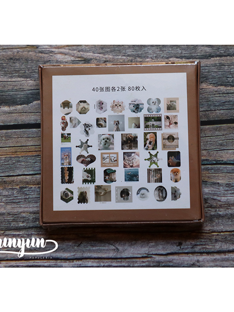 Caja XL Cat & Dog World - 80 pzas 10