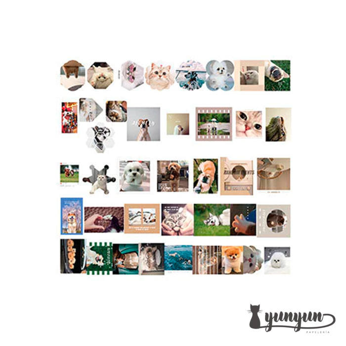 Caja XL Cat & Dog World - 80 pzas 6