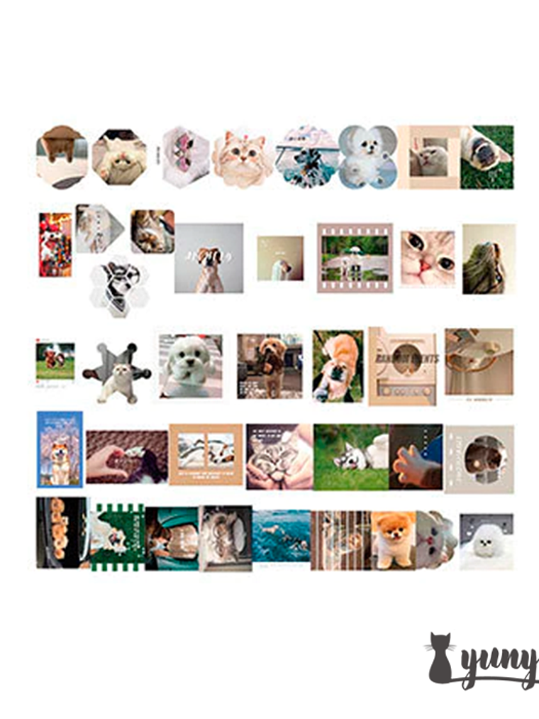 Caja XL Cat & Dog World - 80 pzas 6