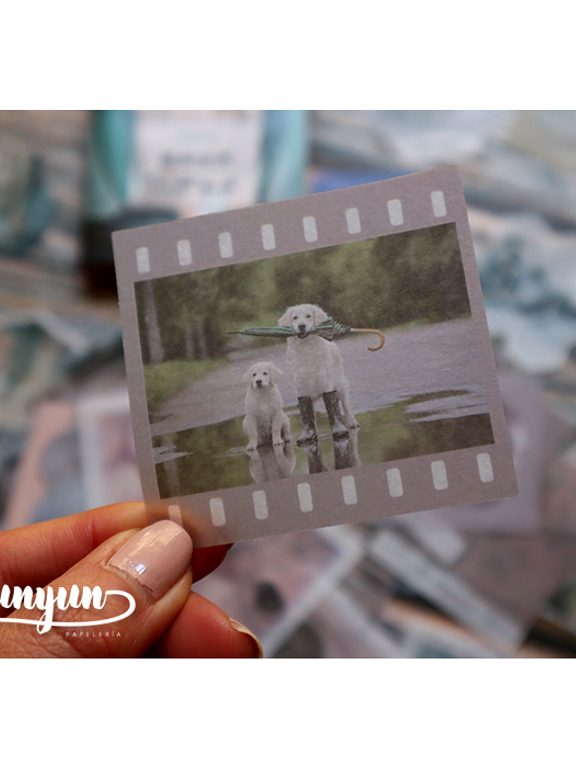 Caja XL Cat & Dog World - 80 pzas 8