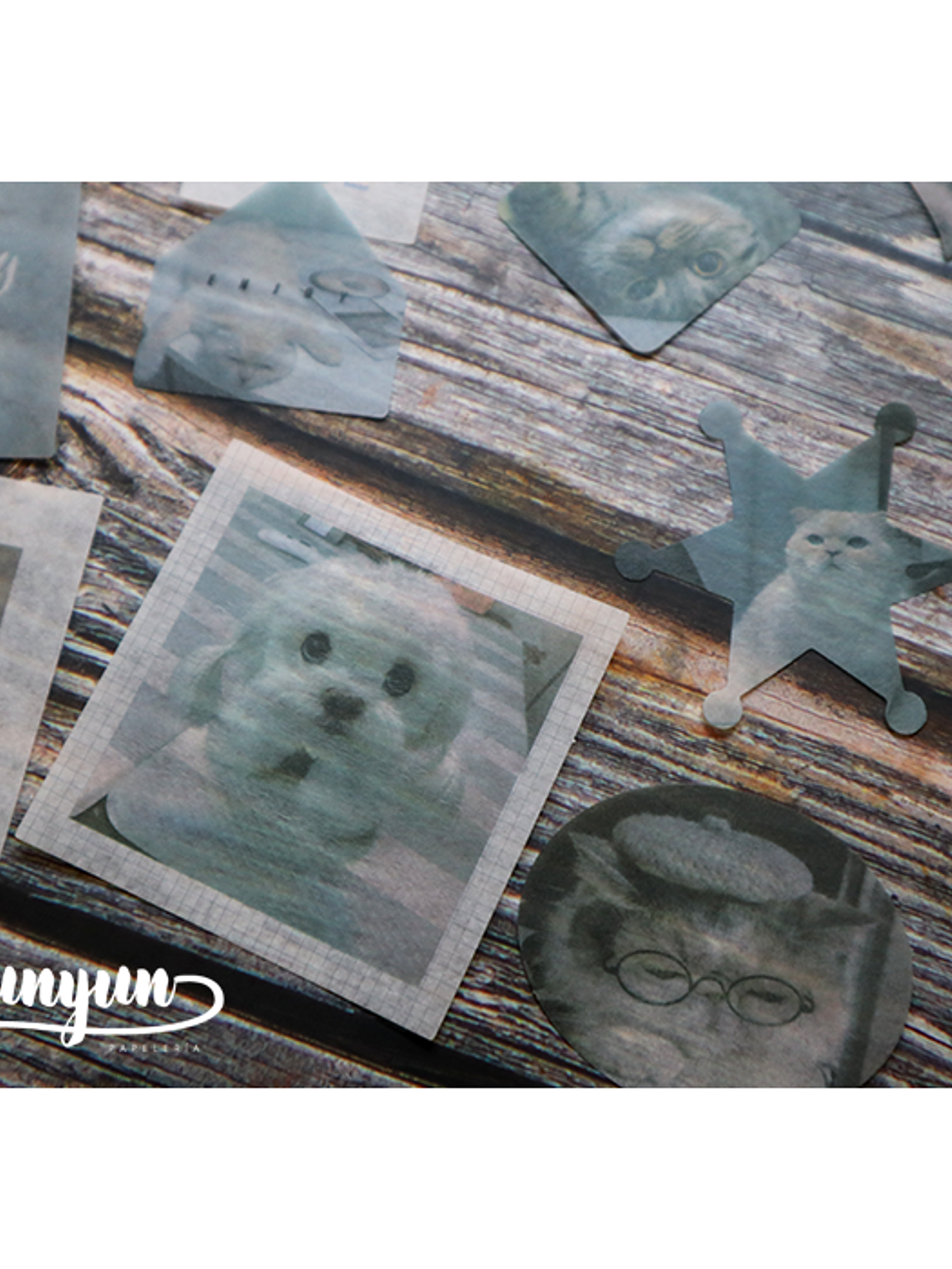 Caja XL Cat & Dog World - 80 pzas 11