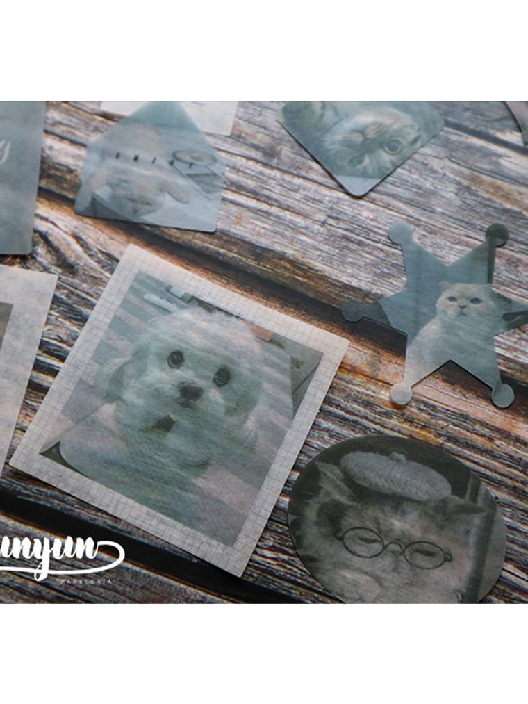 Caja XL Cat & Dog World - 80 pzas 11