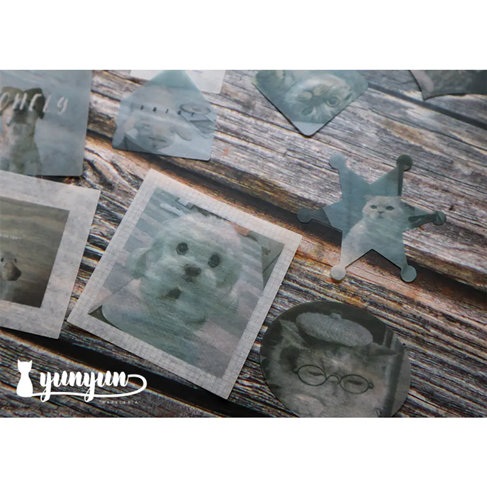 Caja XL Cat & Dog World - 80 pzas 11