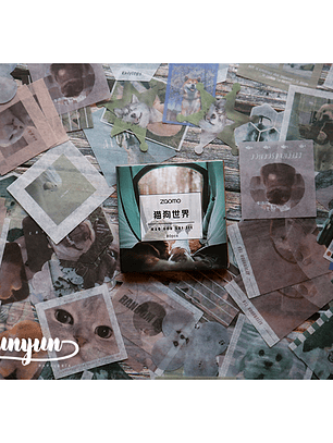 Caja XL Cat & Dog World - 80 pzas