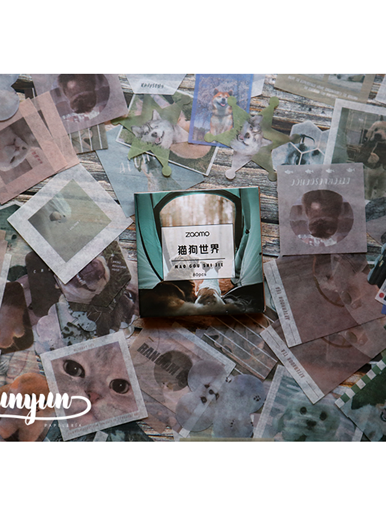 Caja XL Cat & Dog World - 80 pzas 1