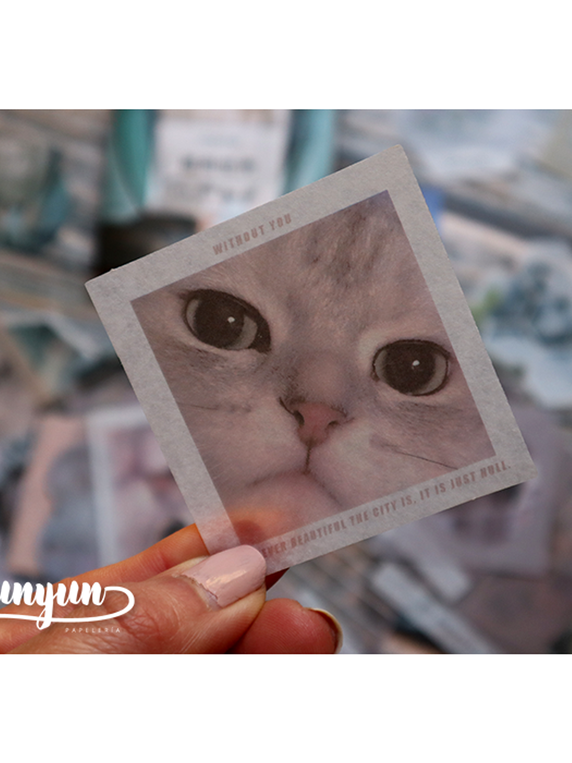 Caja XL Cat & Dog World - 80 pzas 7