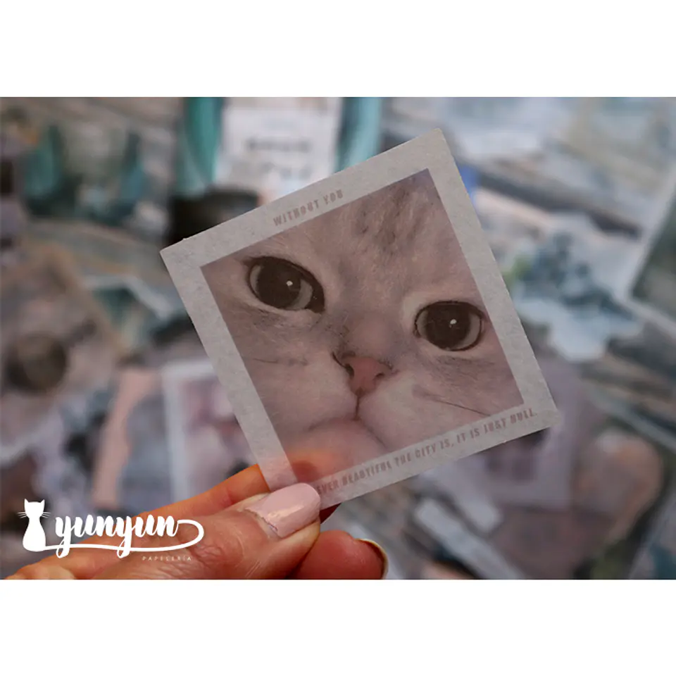 Caja XL Cat & Dog World - 80 pzas 7
