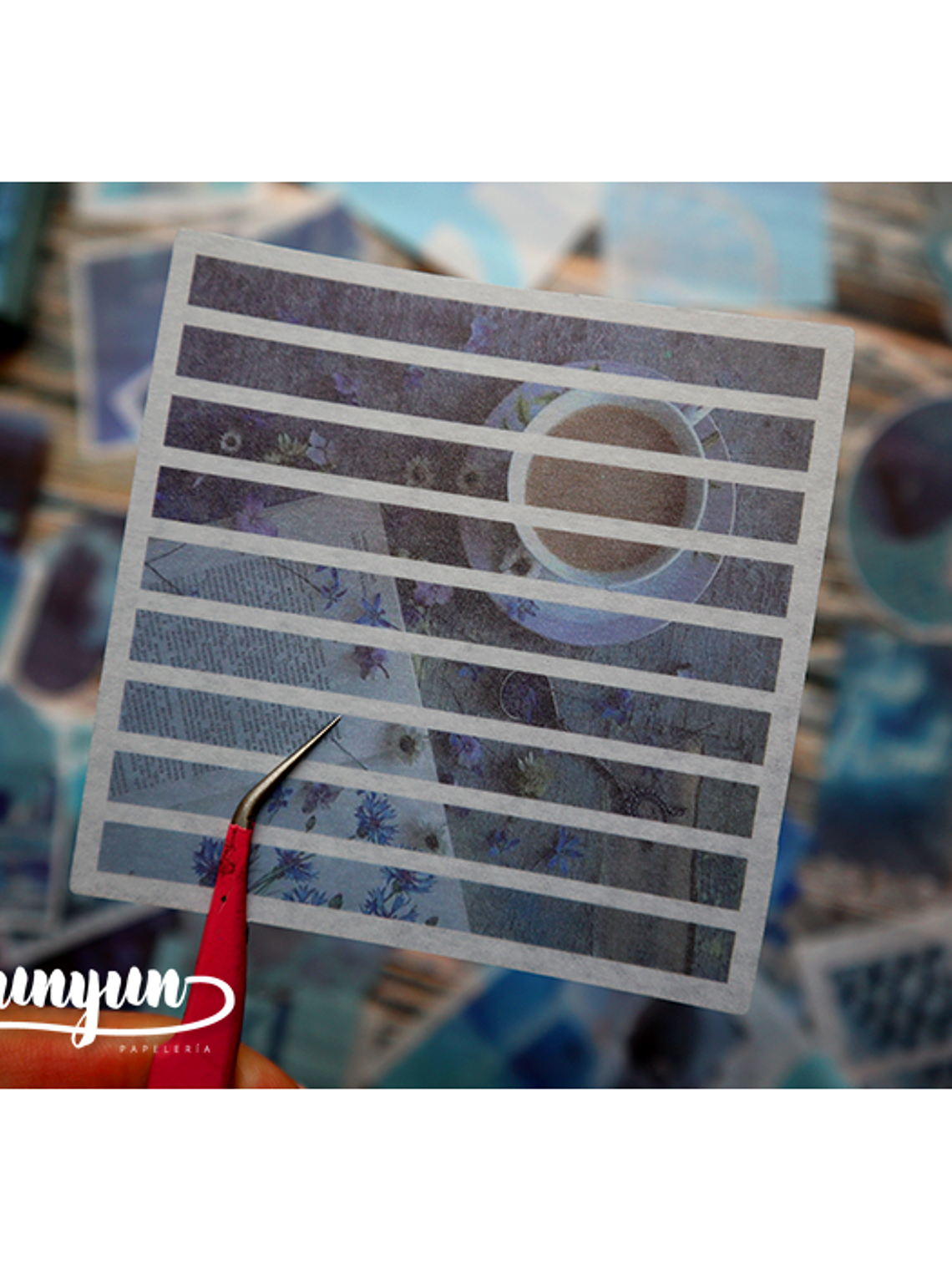 Caja XL Blue Life - 80 pzas 12