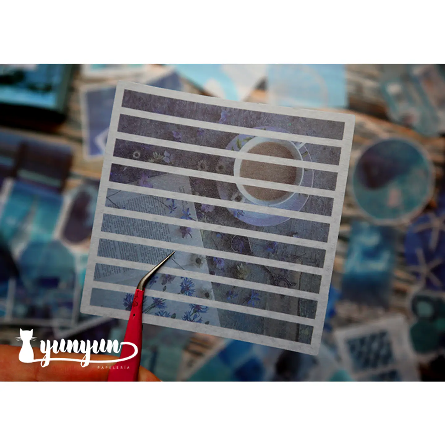 Caja XL Blue Life - 80 pzas 12