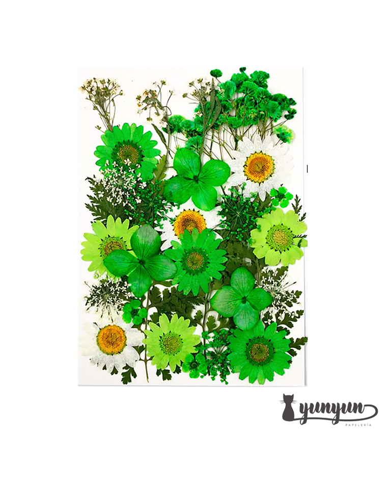 Set Flores Secas Green Life  - 30 pzas