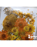 Set Flores Secas Orange & Yellow Life - 32 pzas