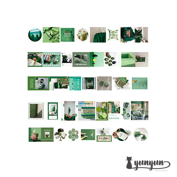 Caja XL Green Life - 80 pzas 5