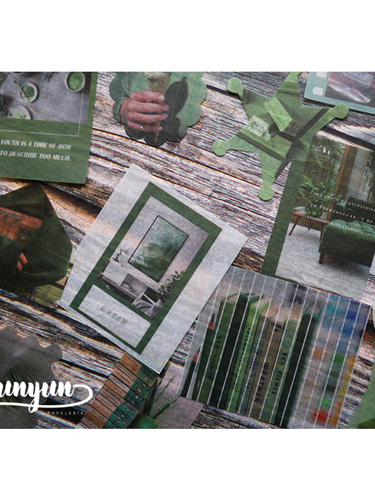 Caja XL Green Life - 80 pzas 3