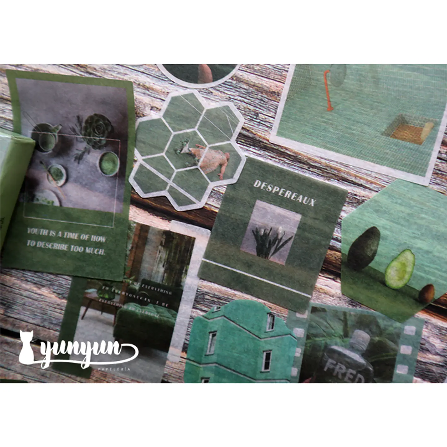 Caja XL Green Life - 80 pzas 8