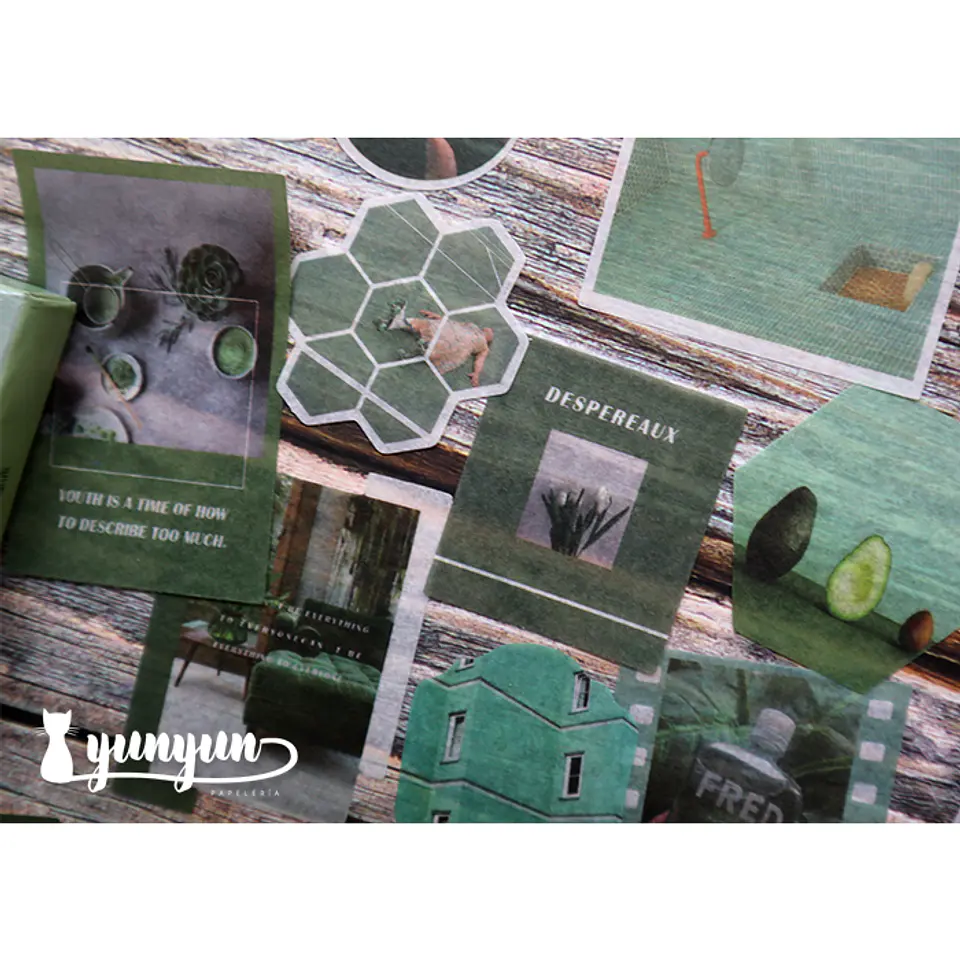 Caja XL Green Life - 80 pzas 8