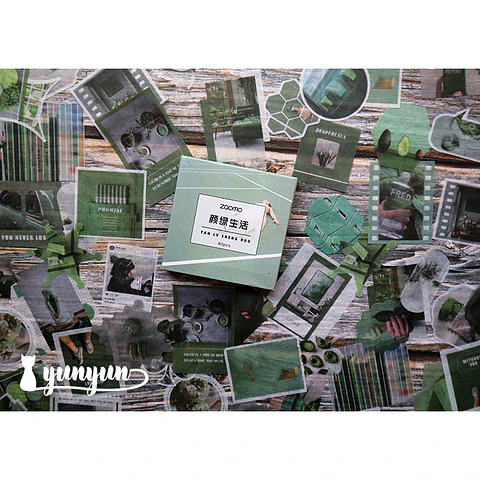 Caja XL Green Life - 80 pzas