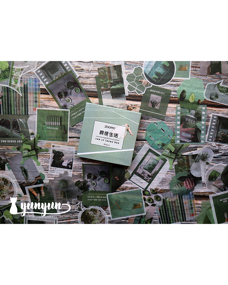 Caja XL Green Life - 80 pzas