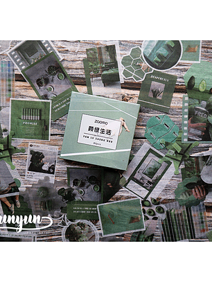 Caja XL Green Life - 80 pzas