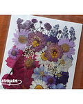 Set Flores Secas Purple Love II  - 34 pzas