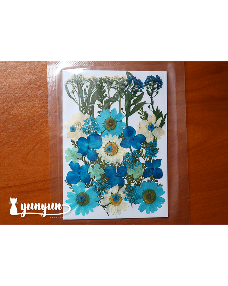 Set Flores Secas Blue Life II  - 32 pzas