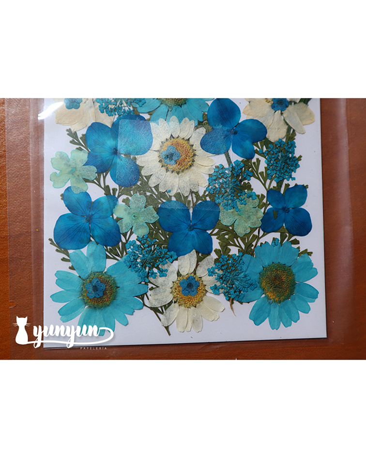 Set Flores Secas Blue Life II  - 32 pzas