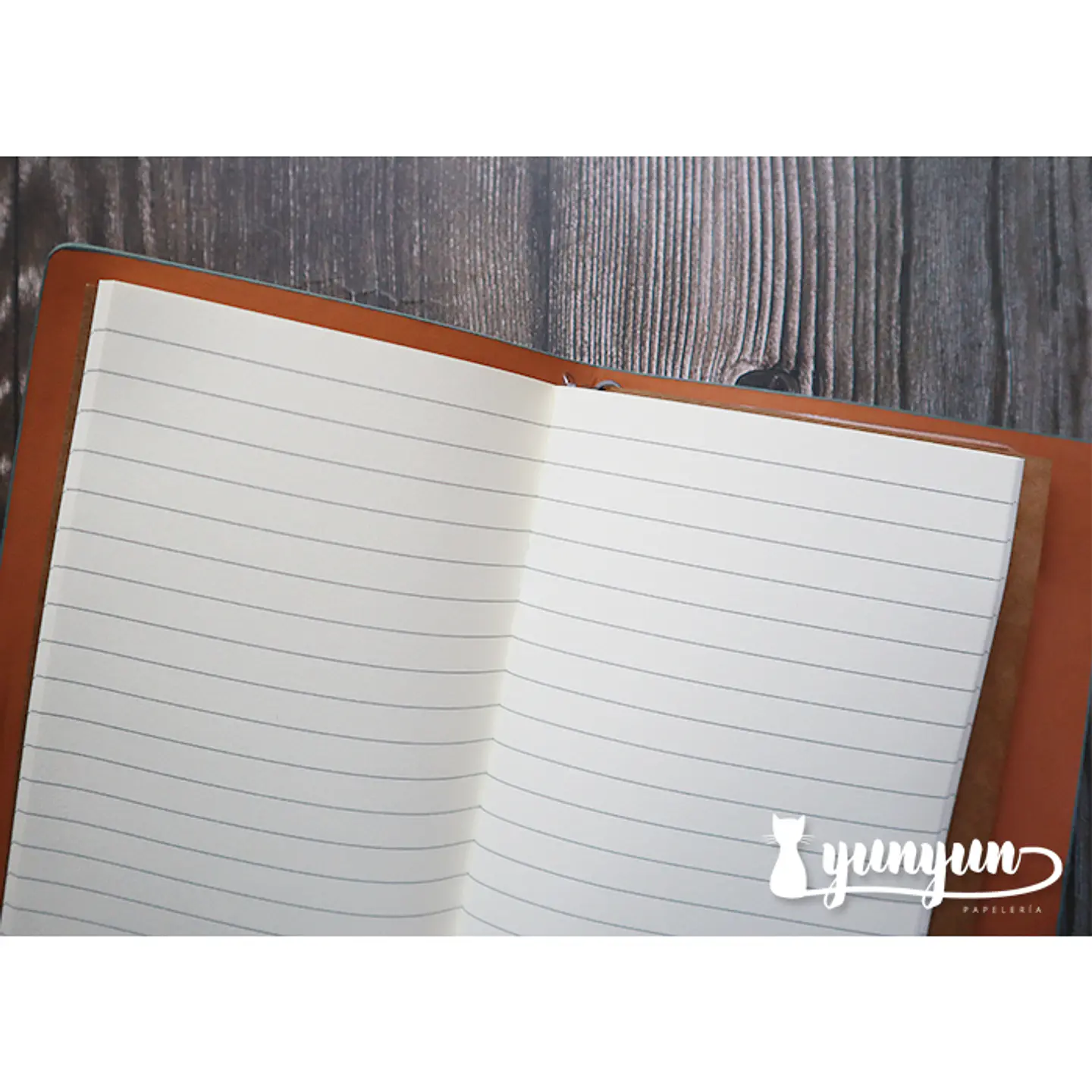 Traveler's Notebook - Celeste 2