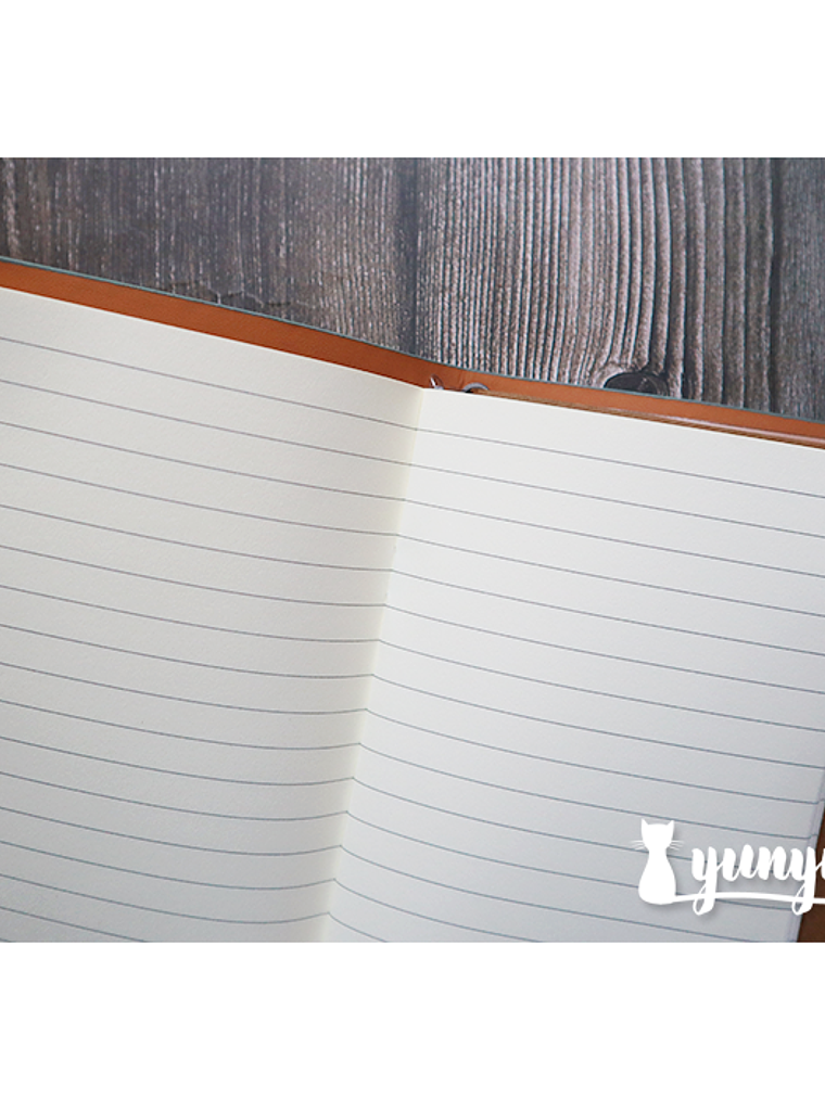 Traveler's Notebook - Celeste 2