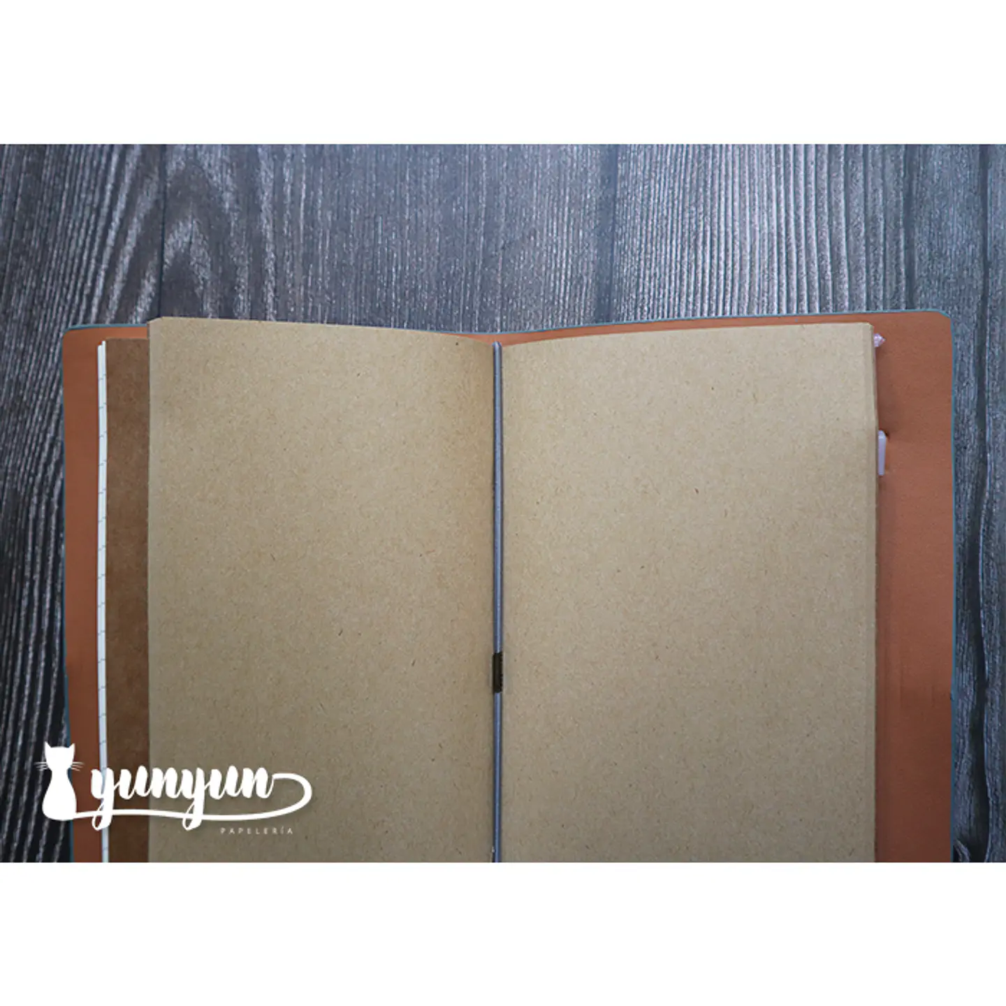 Traveler's Notebook - Celeste 6