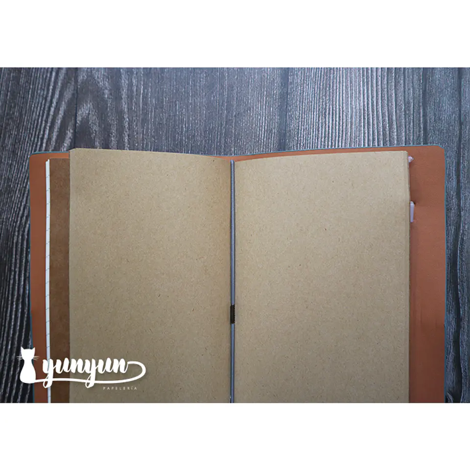 Traveler's Notebook - Celeste 6