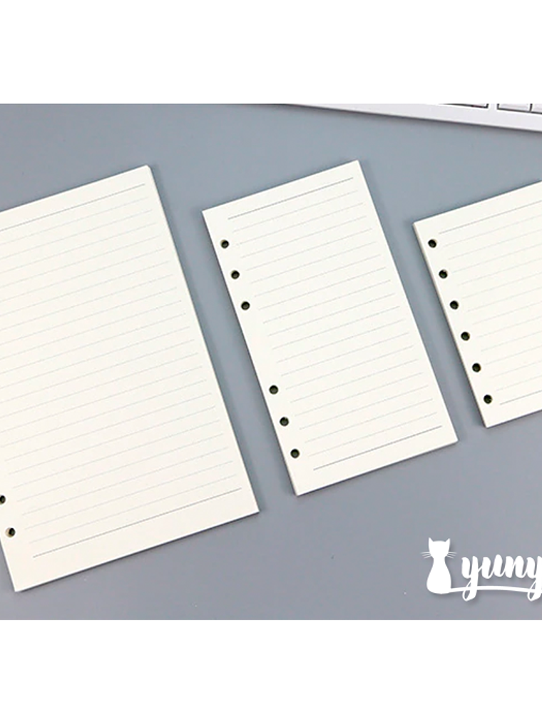 Repuesto Hojas de Líneas Libreta Binder - 45 pzas 3