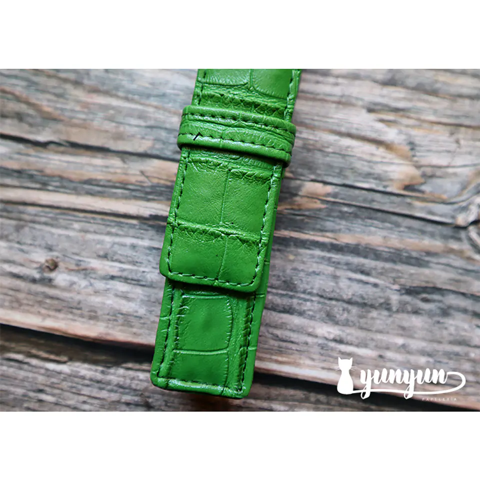 Estuche Pluma Fuente I - Verde 5