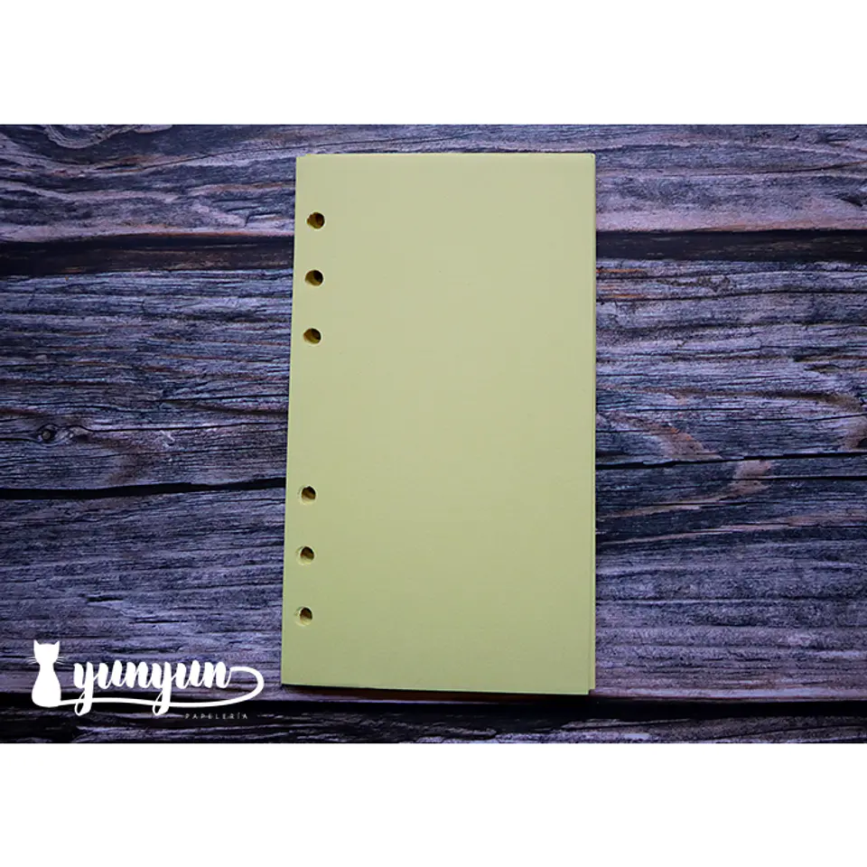 Repuesto Hojas Colores Libretas Binder - 45 pzas 10
