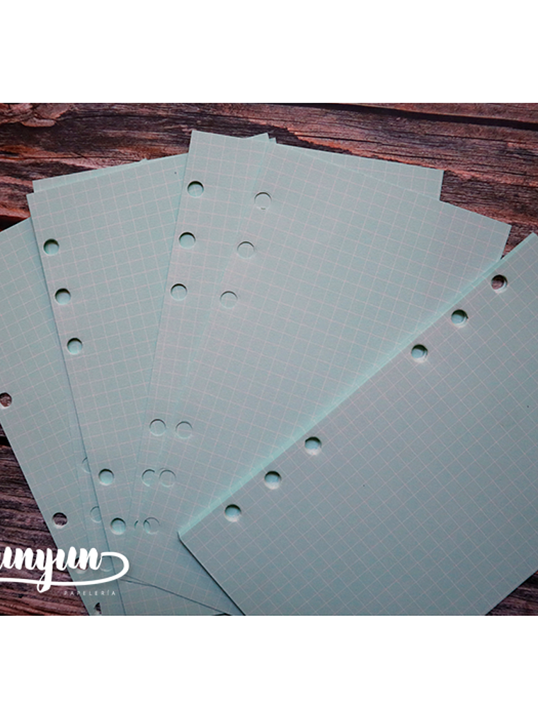 Repuesto Hojas Colores Libretas Binder - 45 pzas 5