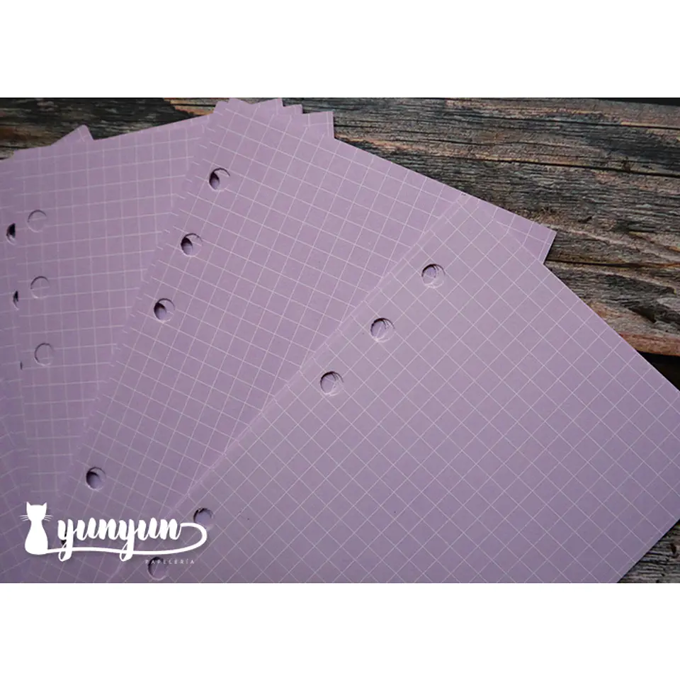 Repuesto Hojas Colores Libretas Binder - 45 pzas 6