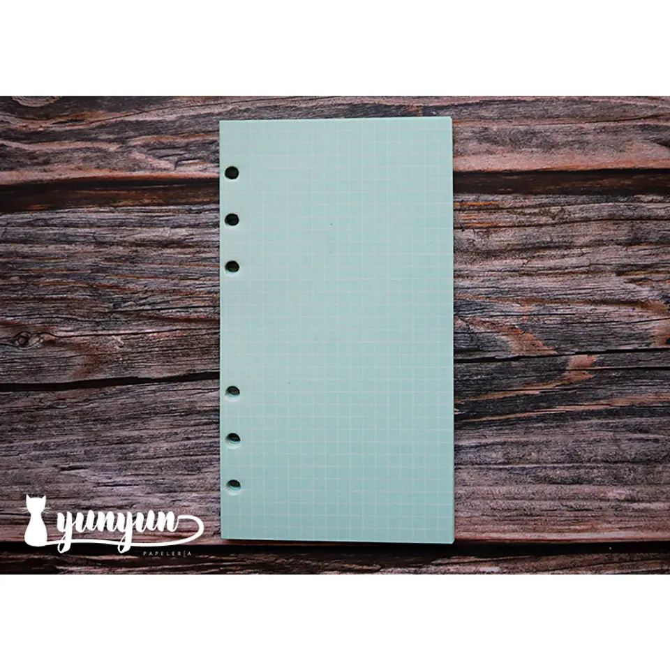 Repuesto Hojas Colores Libretas Binder - 45 pzas 9