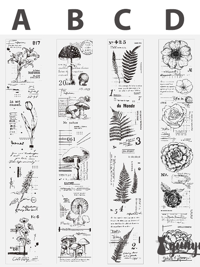 Washi Tapes Lace Botánica - 5,6cm 6